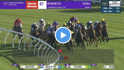 sydney cup odds|Sydney Cup Results 2024 .